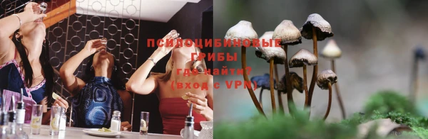 mdpv Армянск