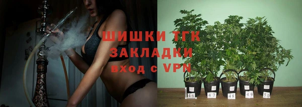 мяу мяу мука Аркадак