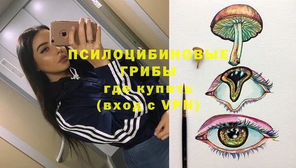 спайс Арсеньев