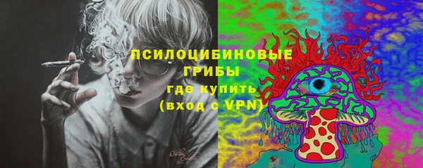 мяу мяу мука Аркадак