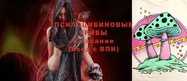 мяу мяу мука Аркадак