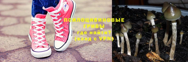 спайс Арсеньев
