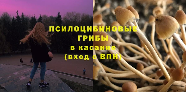 спайс Арсеньев