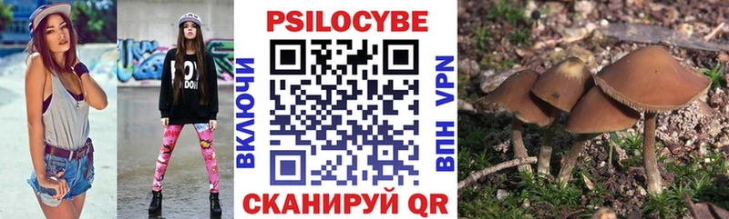 Галлюциногенные грибы Psilocybe  Ладушкин 
