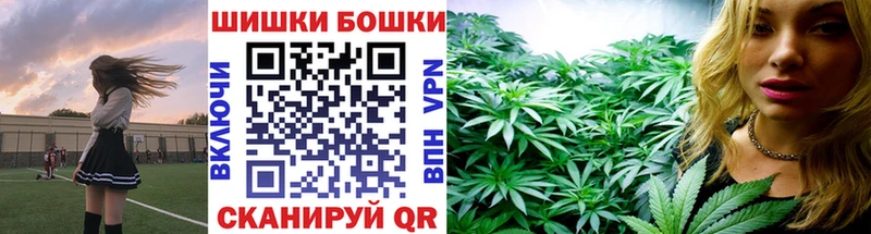 Бошки Шишки конопля  купить   Ладушкин 